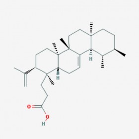 櫟櫻酸 Roburic acid 6812-81-3 C30H48O2