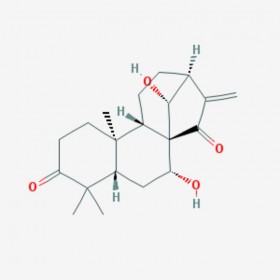 藍(lán)萼甲素 Glaucocalyxin A 79498-31-0 C20H28O4