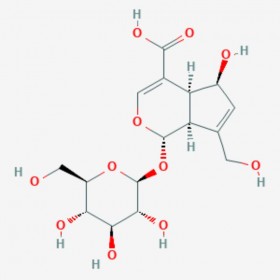 去乙?；嚾~草苷酸 Deacetylasperulosidic acid 14259-55-3 C16H22O11