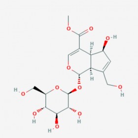 去乙酰基車葉草苷酸甲酯  6α-hydroxygeniposide 52613-28-2 C17H24O11