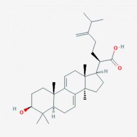 去氫齒孔酸 Dehydroeburicoic acid 6879-05-6 C3lH48O3