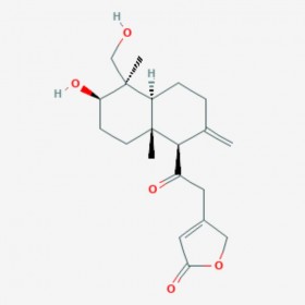 4-去氧-11-氧化穿心蓮內(nèi)酯 14-Deoxy-11-oxoandrographolide 42895-57-8 C20H28O5