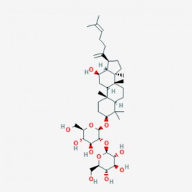 人參皂苷Rk1 Ginsenoside Rk1 494753-69-4 C42H70O12