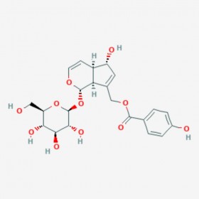 穗花牡荊苷 Agnuside  11027-63-7 C22H26O11