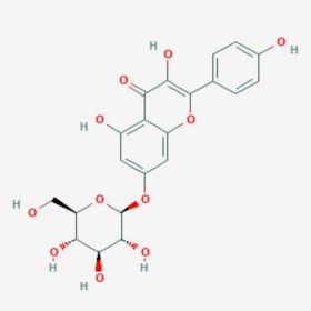 山奈酚-7-葡萄糖苷 Kaempferol-7-glucoside; Kaempferol-7-O-β-D-glucopyranoside 16290-07-6 C21H20O11