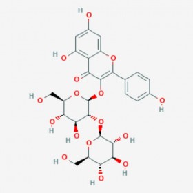 山奈酚-3-O-β-D-槐糖苷 Kaempferol-3-O-sophoroside 19895-95-5 C27H30O16