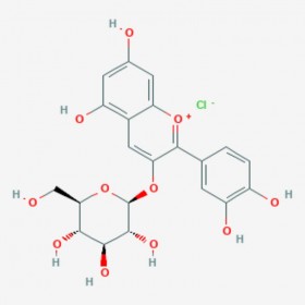 矢車菊素-3-O-葡萄糖苷 Cyanidin-3-O-glucoside chloride 7084-24-4 C21H21ClO11