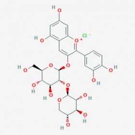 矢車菊素-3-桑布雙糖苷  Cyanidin-3-O-sambubioside chloride  33012-73-6 C26H29O15.Cl