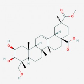 商陸皂苷元 Phytolaccagenin  1802-12-6 C31H48O7