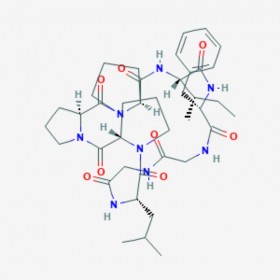 太子參環(huán)肽B Heterophyllin B 145459-19-4 C40H58N8O8