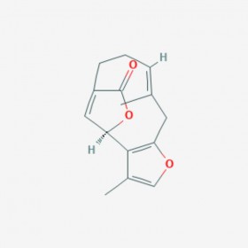 烏藥內(nèi)酯 Linderalactone 728-61-0 C15H16O3