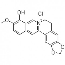 小檗紅堿 Berberrubine chloride 15401-69-1 C19H16NO4.Cl