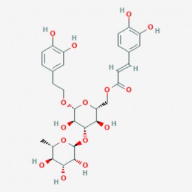 異毛蕊花糖苷 Isoacteoside 61303-13-7 C29H36O15