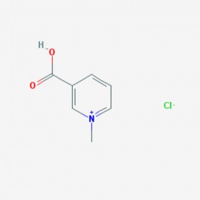 鹽酸葫蘆巴堿 Trigonelline Hydrochloride  6138-41-6 C7H8ClNO2