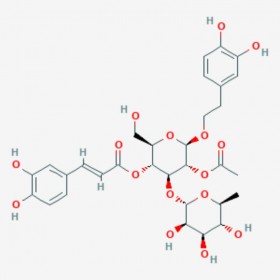 2-乙?；锘ㄌ擒?2-Acetylacteoside 94492-24-7 C31H38O16