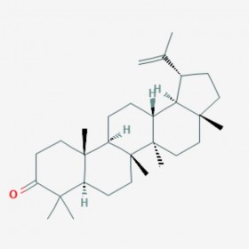 羽扇烯酮 Lupenone 1617-70-5 C30H48O