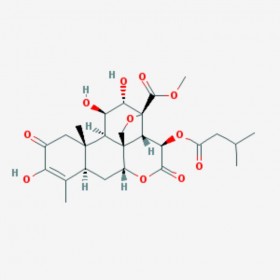 鴉膽子素A Bruceine A 25514-31-2 C26H34O11