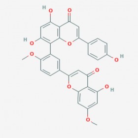 銀杏雙黃酮 Ginkgetin 481-46-9 C32H22O10