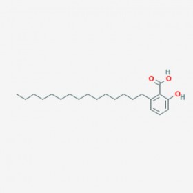 銀杏酸GA15：0 Ginkgolic Acid C15:0 16611-84-0 C22H36O3