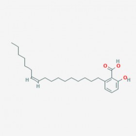 銀杏酸GA17：1（熔點40多度，必須加冰袋，不然會融化） Ginkgolic acid 17:1 111047-30-4 C24H38O3