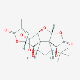 銀杏內酯K Ginkgolide K 153355-70-5 C20H22O9