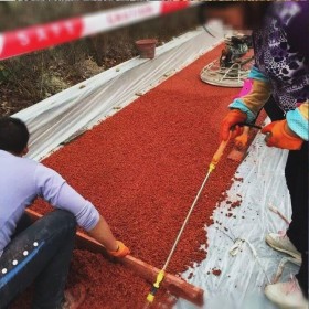 四川省都江堰市彩色生態(tài)透水混凝土地坪  山西太原市透水混凝土里面 透水混凝土施工價(jià)格 彩色透水混凝土材料生產(chǎn)廠家   壓模混凝土材料廠家 透水粘接劑廠家送貨到工地