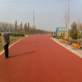 成都市 園林道路彩色混凝土 商業(yè)街彩色混凝土 生態(tài)透水地坪 詢價(jià)