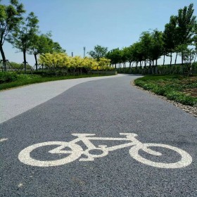 生態(tài)透水地坪 海綿城市透水綠道 花紋景觀彩色混凝土 生產(chǎn)廠