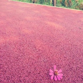 周口市 小區(qū)彩色混凝土 生態(tài)透水地坪 透水性混凝土 露石子彩色混凝土 專業(yè)生產(chǎn)材料廠家報(bào)價(jià)