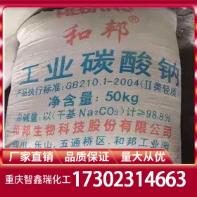 碳酸鈉廠家直供 純堿廠家價(jià)格批發(fā) 工業(yè)級(jí)食品級(jí)